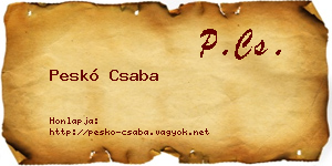 Peskó Csaba névjegykártya